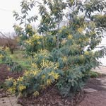 Robert Blaise - @robert.blaise.54 - Instagram