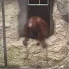 robertblaise - @robertblaise - TikTok