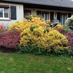 Blandine Robert - @robert.blandine46 - Instagram