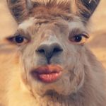 Robert Blanding - @robert_blanding - Instagram