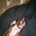 Robert Blann - Facebook