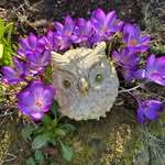 Robert Blatchford - @blatchford586 - Instagram