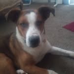 Robert Bledsoe - @lilcrazyboss76 - Instagram