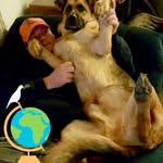 Robert Blehm - @blehmrobert - Instagram