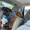 robertbleiler5151 - @robertbleiler5151 - TikTok