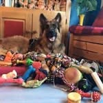 Robert Blom - @robert.blom.5686 - Instagram