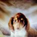 Robert Bloodworth - Facebook