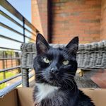 Robert Bloomfield - @bloomfieldrobert - Instagram