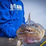 Robert Blosser - @robertblosser1 - Instagram