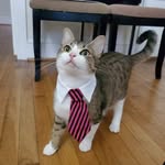 Robert Blount - @kindly_gamingrva - Instagram