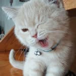 Roberta Blumenstock - @robertablumenstock - Instagram