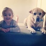 Robert Boardman - @robertboardman1 - Instagram