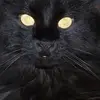 Roberta Boardman - @roberta.boardman - TikTok