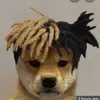 Robert - @robert_the_bobber - TikTok
