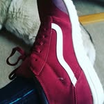 Robert William Boddy - @animalamina - Instagram