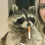 Robertboddy - @robertboddy_ - Instagram