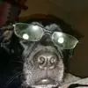 Robert Bode - @robertbode88 - TikTok
