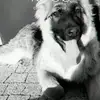 robertbogacz - @robertbogacz - TikTok