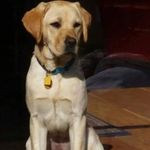 Robert W Bogardus - @bogardusrobert - Instagram