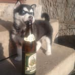 Robert Boháč - Facebook