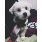 Robert Bohler - @jinhighspyder - Instagram