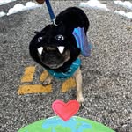 Robert Bois - @robert.bois.5 - Instagram