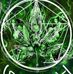 Robert Bolar - Facebook