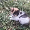 Robert Bolek - @robert.bolek72 - TikTok