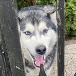 Robert Bolek - @bolek5944 - Instagram