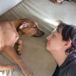 Robert bolinger - @robertbolinger614 - Instagram