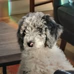 Robert Bolinger - Facebook