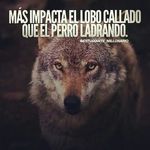 Robert Bolivar - @robert.bolivar21 - Instagram