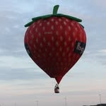 Robert Bollen - @robert.bollen.372 - Instagram