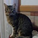 Robert Books - @books.robert - Instagram