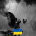Robert Boote - Facebook