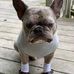 Robert Boots - Facebook