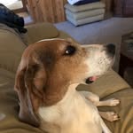 Robert Boozer - @boozer7342 - Instagram