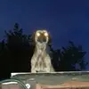 Robert Poborczyk - @robert.poborczyk - TikTok