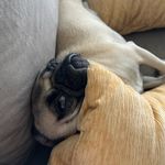 Robert Bork - @robertborksamerica - Instagram