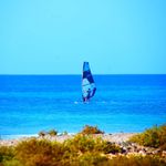 Robert Bork - @borkrobert - Instagram
