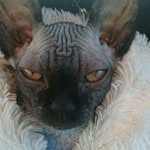 Robert Borucki - @robert.borucki.5 - Instagram