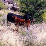 Roberto Borunda - @mr_robert_borundar - Instagram