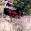 robertoborunda90 - @beto36902 - TikTok