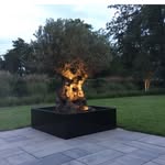 Robert Jan Bosma - @robertjanbosma - Instagram