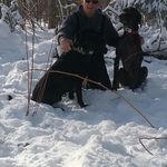 Robert Bosman - @bosman.robert - Instagram
