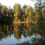 robert bosman - @robert_bosman_ - Instagram