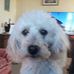 Robert Bossard - Facebook
