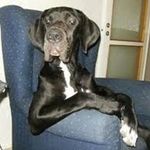 Robert Bosserman - @rnbosserman - Instagram