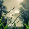 RobertBott3428 - @robertbott3428 - TikTok