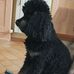 Robert Adrien Bour - Facebook